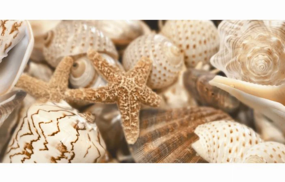 Декор Sea Breeze Shells Decore №1 300x600x9 Golden Tile Декор Sea Breeze Shells Decore №1 300x600x9 Golden Tile