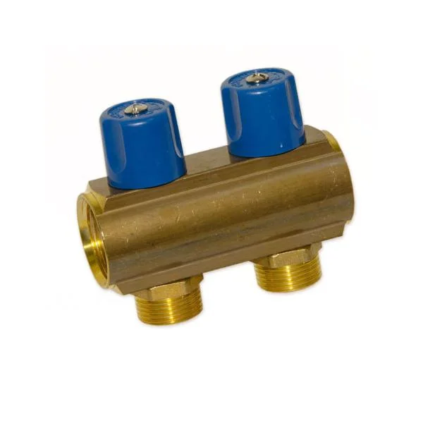 Колектор з вентилями Bianchi Ø 1"×3/4" EK - 2 контури, I=50 мм (blue/синій)