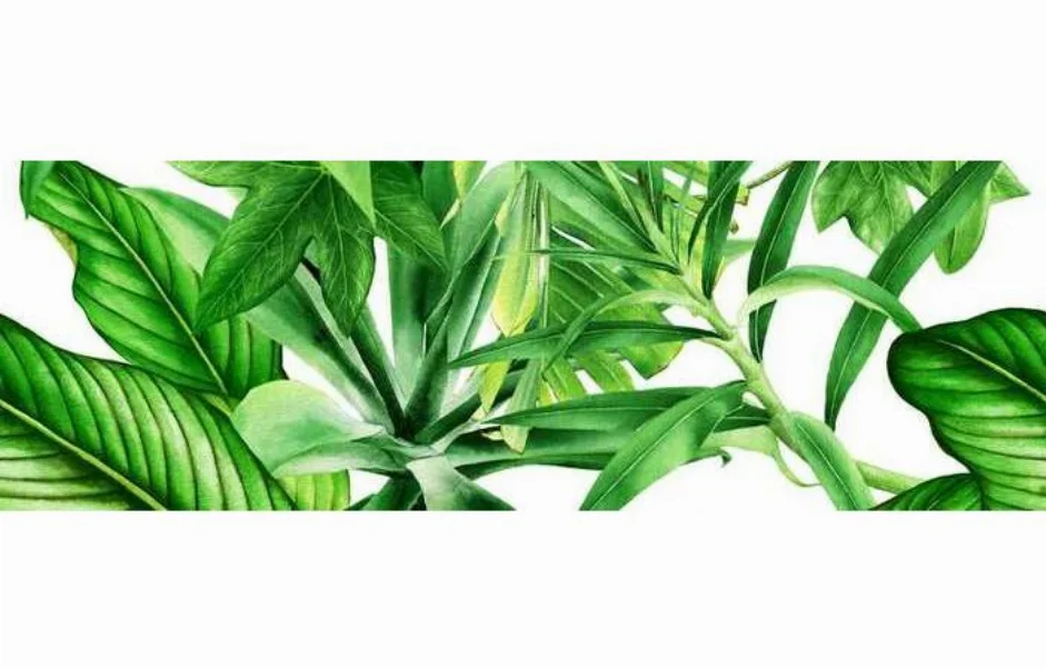 Декор Tropic Garden C 250x750x9 Ceramika Color