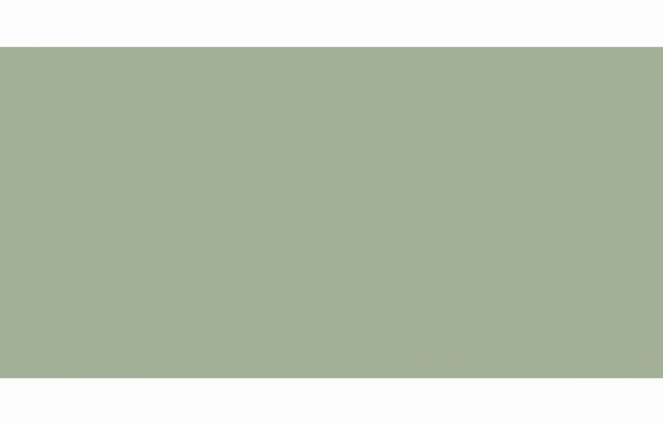 Плитка настінна Feelings Green RECT 298x598x9 Paradyz Плитка настінна Feelings Green RECT 298x598x9 Paradyz