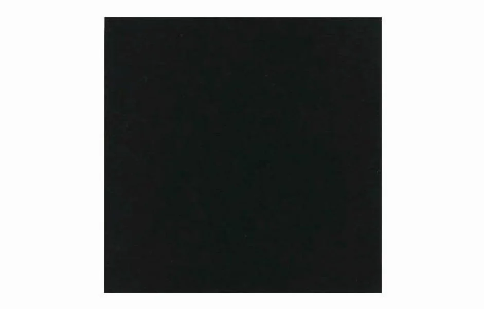 Плитка керамогранитная Monocolor Negro 200x200x10 Vives