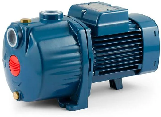 Насос з низьким рівнем шуму Pedrollo 2CPm 80-C