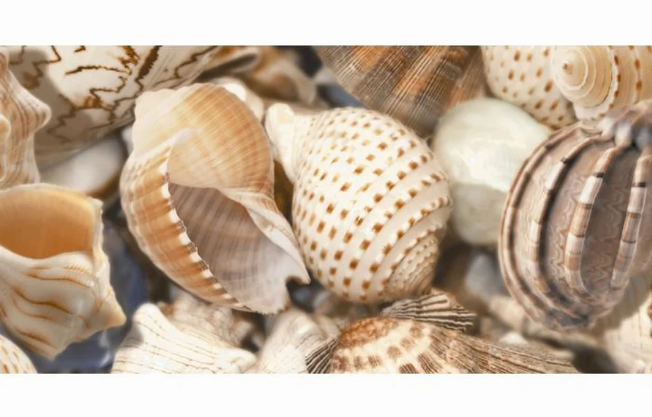 Декор Sea Breeze Shells Decore №2 300x600x9 Golden Tile Декор Sea Breeze Shells Decore №2 300x600x9 Golden Tile