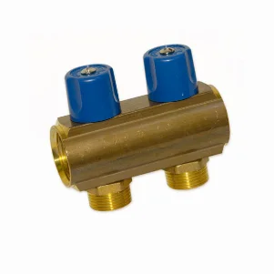 Колектор з вентилями Bianchi Ø 1"×3/4" EK - 2 контури, I=50 мм (blue/синій)