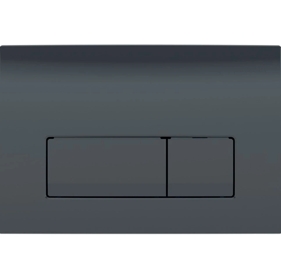 Кнопка зливу Delta50 115.119.DW.1 чорний Geberit